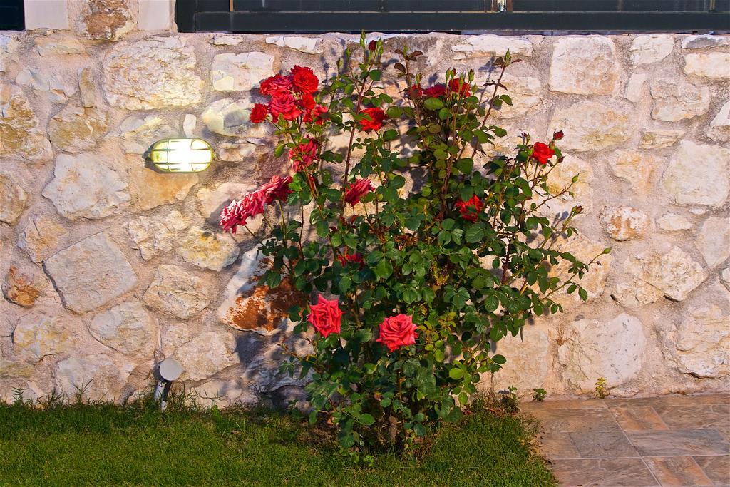 סאמי Superb Villa With Private Pool Peaceful Location מראה חיצוני תמונה